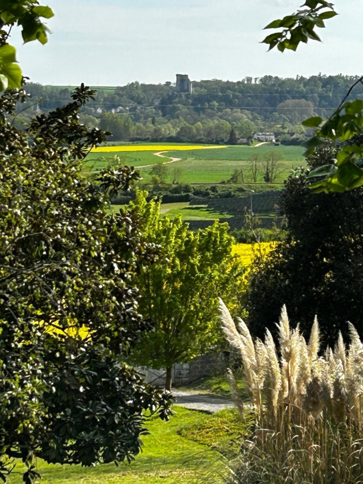 Au Bonheur Dupre B&B Montoire-sur-le-Loir Exterior photo